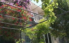 Apartments Stari Pavle